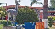 Sonora, con potencial para ser centro de industria de baterías para auto eléctrico mexicano