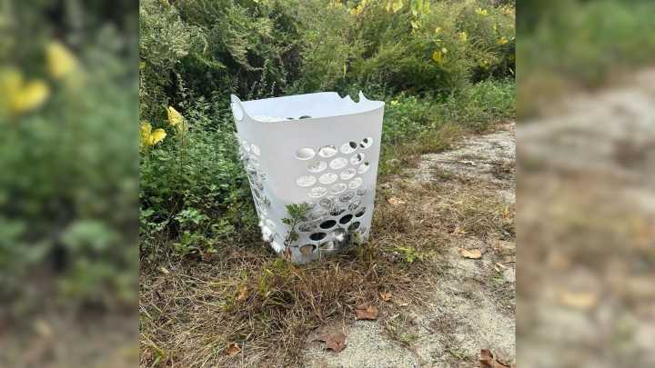Connecticut Woman Shocked After Seeing What Was Hidden Inside An Abandoned Laundry Basket