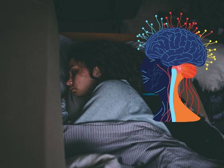 Los alarmantes efectos de la falta de sueño en el cerebro