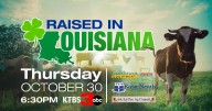 Raised In Louisiana special shines spotlight on students competing in ALTAC Jr. Livestock Sale