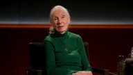Netflix estrena programa de entrevistas que saldrán a la luz cuando el famoso muera; la primera fue de Jane Goodall