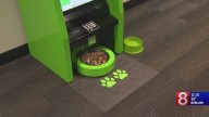 Southington bank opens 'dog ATM'