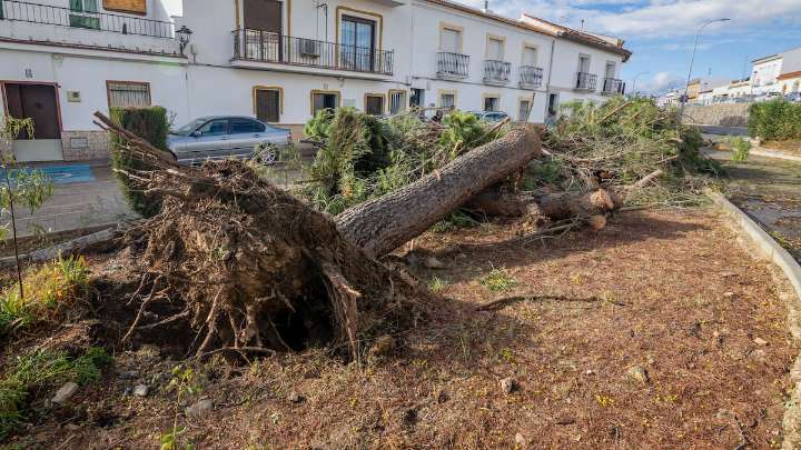 Muere el hombre herido en el tornado durante el temporal en Gibraleón (Huelva)