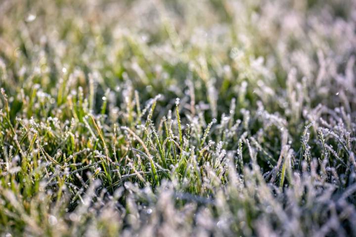 Denver had its first freeze of fall on Sunday