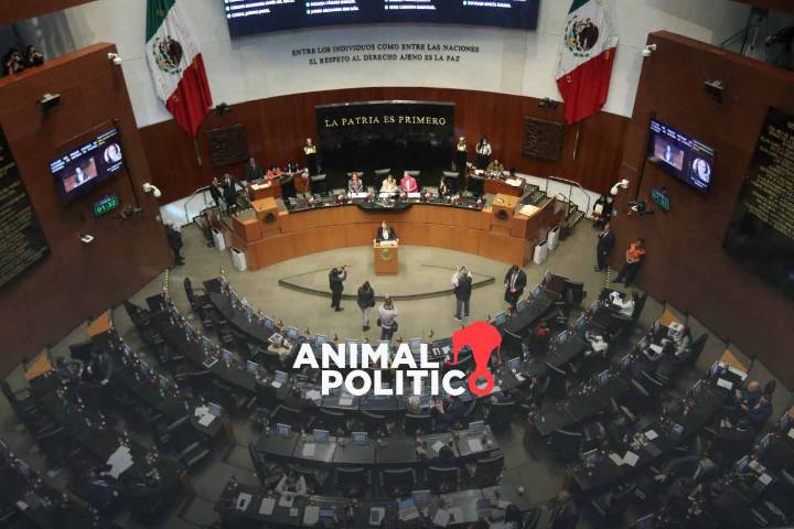 Senado modifica iniciativa sobre amparo enviada por Sheinbaum; precisan interés legítimo colectivo