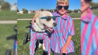 Nevada Dog Who Survived Major Medical Challenges Finds Purpose Helping His Little Brother