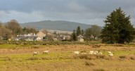 Rural Scottish estate hiring couple with three-bedroom cottage and 80k salary included