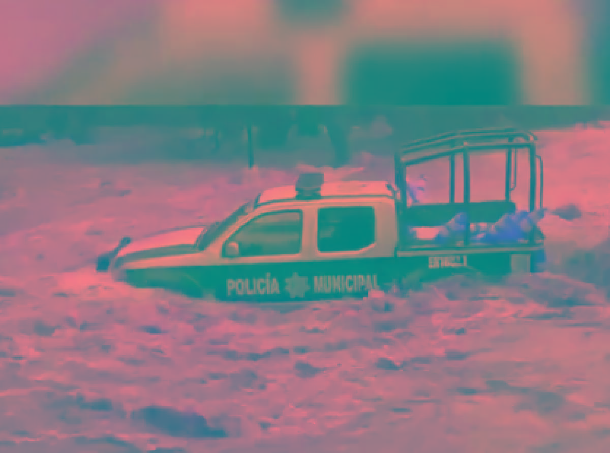 Polis al Rescate