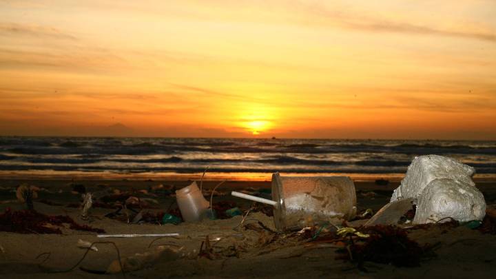 From waste to what works: Free author talk and celebration Friday