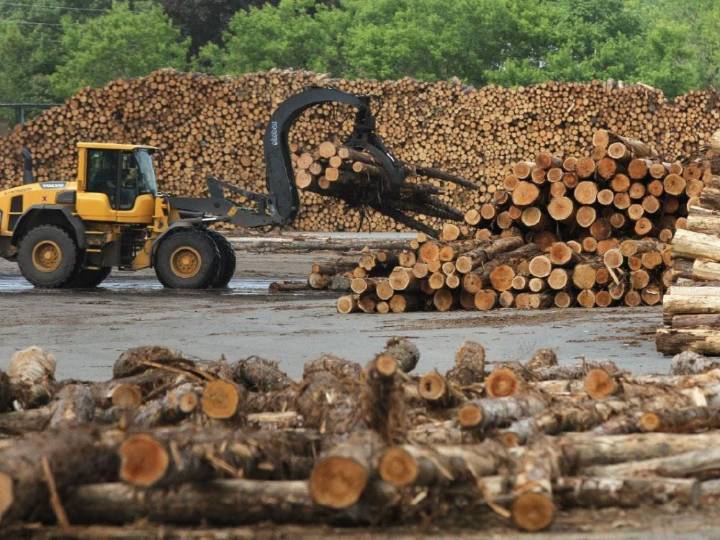 Timber tariff hike triggers confusion in forestry sector