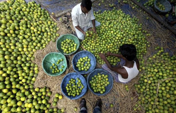 Reforzarán seguridad en Michoacán para proteger a limoneros