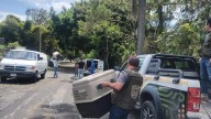 Propaem atiende denuncia de maltrato a perros en Centro Vacacional IMSS Oaxtepec