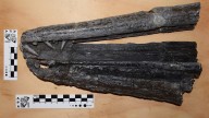 Científicos argentinos encontraron un reptil que habitó mares patagónicos hace 150 millones de años