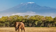 ¿Es seguro viajar a Tanzania para hacer un safari?