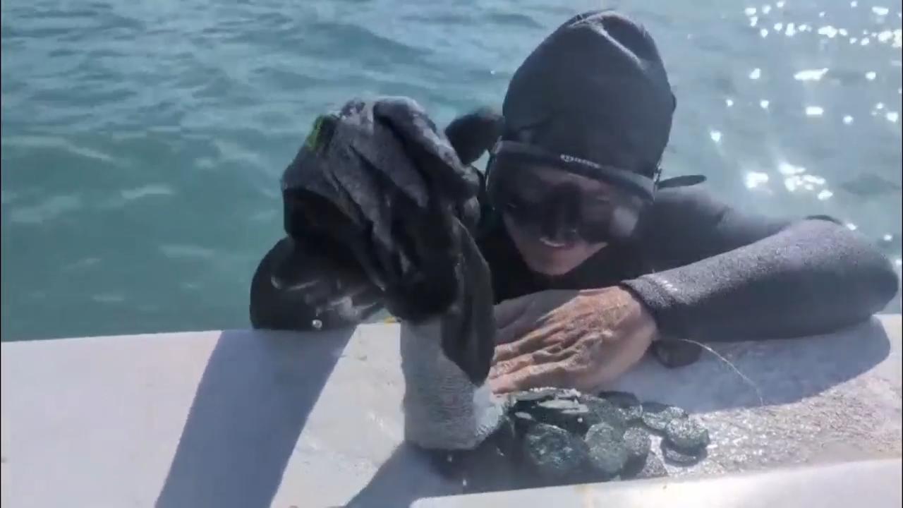 Excavators find $1 million in gold coins from Spanish shipwreck along Florida's 'Treasure Coast'