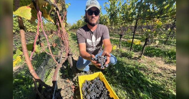 Ontario wine sales increase during boycott of U.S. products