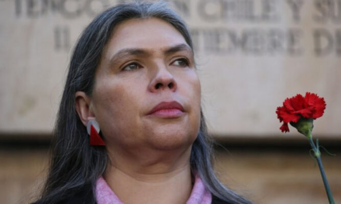 Figueroa criticó la reforma de Boric para  despliegue fronterizo de Fuerzas Armadas