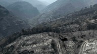 La historia del fuego en Galicia: "En el norte hay más aprecio por el bosque, por eso arde menos"
