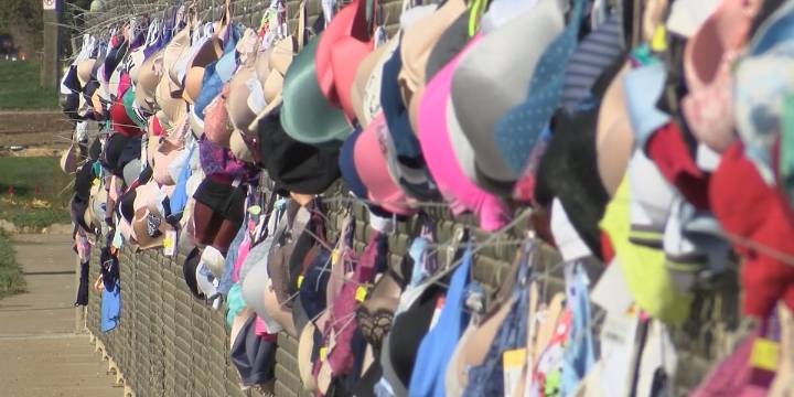 ‘Bras Across the Bridge’ highlights importance of breast cancer screenings