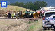 Mackay cane train driver critically injured after locomotive collides with truck