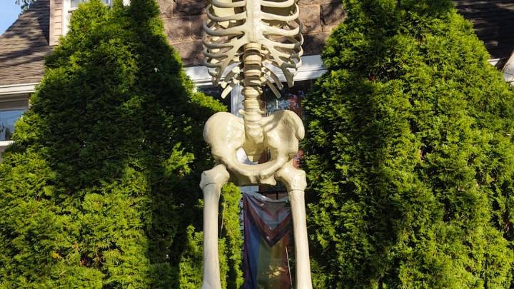 Big bones are a big trend this Halloween and beyond
