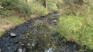 Ecologistas alertan a la CHE de un "fango negro" en el río Cinca