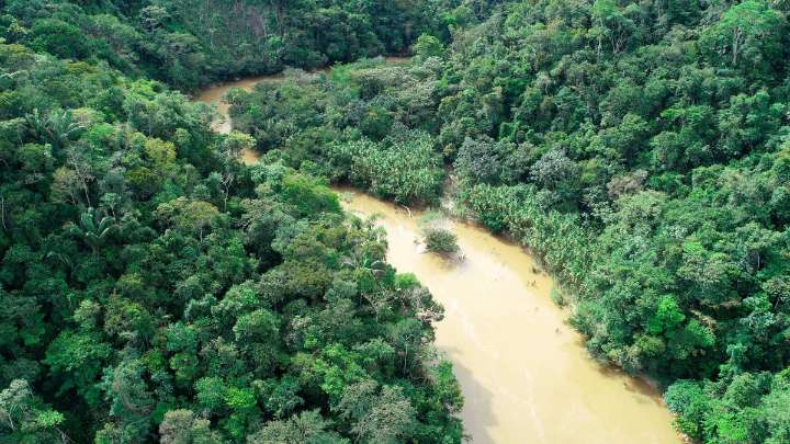 Mientras Colombia pierde 113 mil hectáreas de bosque, Cornare logró contener la deforestación, ¿cómo lo hizo?