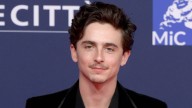 Timothée Chalamet As DCU Batman: His Dark Knight Reveal Makes Him Perfect