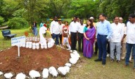 Collector Rajarshi Shah inaugurates Waste to Wonder exhibition by Adilabad municipal staff
