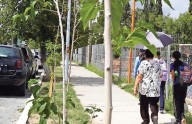'Regalan futuro al parque Revolución'