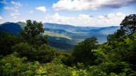 Davidson River Campground to close in November for…