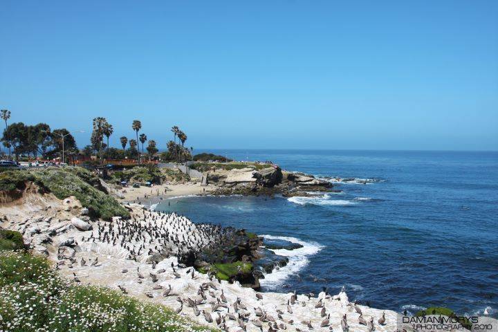 El Día Mundial de Protección de la Naturaleza impulsa el desarrollo del ecoturismo