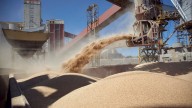 Con las retenciones cero, el agro ingresó 290% más de dólares que en agosto y sumó US$7100 millones