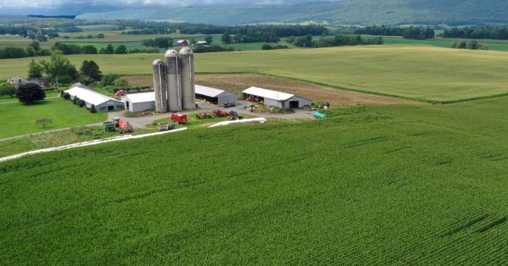 Departamento de Agricultura de EEUU reabre 2.100 oficinas para otorgar créditos a agricultores