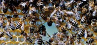 Cuando la naturaleza coopera : un llamado al fin de la competencia implacable