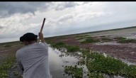 Trabajo ‘flash’ de Corpamag en la Ciénaga Grande, pero esta es la cruda realidad con la ‘Hydrilla’