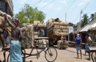 Centre Has Revived Bengal Jute Industry: Amit Malviya
