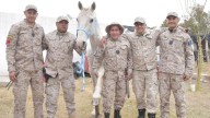 Caballos rescatados del maltrato ahora trabajan en la Policía Rural