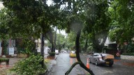 Lluvias en Cali provocan caída de árboles y colapso parcial de un muro en el oriente de la ciudad; este es el reporte