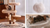 This large cat tree is what cats dream of, and now 61% off at Wayfair