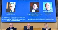'Innovation-driven growth' studies win economics Nobel