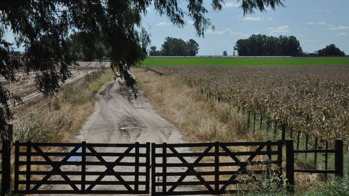 El ánimo del campo refleja cautela en un clima político decisivo