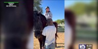 Horses for Healing Charity Auction will help raise funds for nonprofit that helps children with disabilities