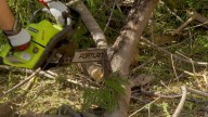 Tempe microburst damage continues for third day