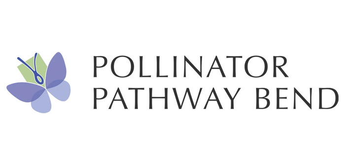 Pollinator Pathway Bend Launches Downtown Beautification Project with Oregrown, Inc.