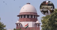 Stray dogs case: SC summons chief secretaries of states on Nov 3
