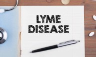 Lyme disease confirmed in Himachal Pradesh; 17 test positive
