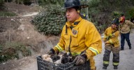 Bomberos rescatan a diez perritos abandonados en un canal
