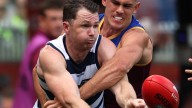 Free sports including AFL and cricket driving huge growth in linear streaming on 7plus