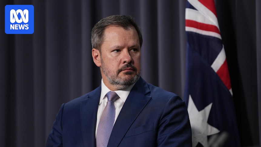 Labor backbencher calls for action to stop countries onselling Australian gas